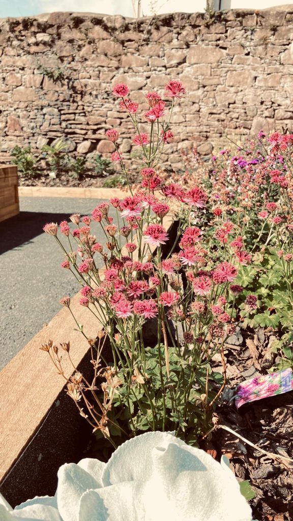 The Star Garden Crieff